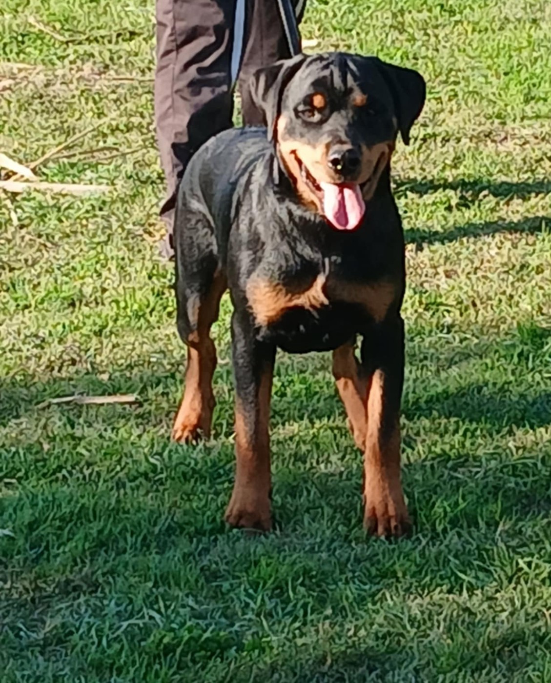 Amoré de l'Empreinte d'Osiris