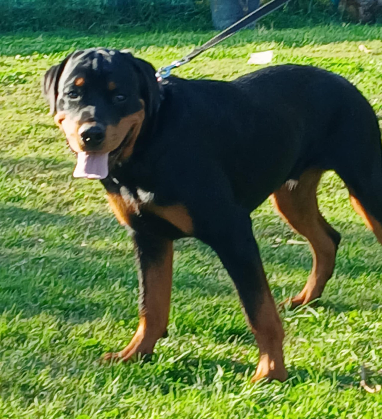 Azzurro de l'Empreinte d'Osiris